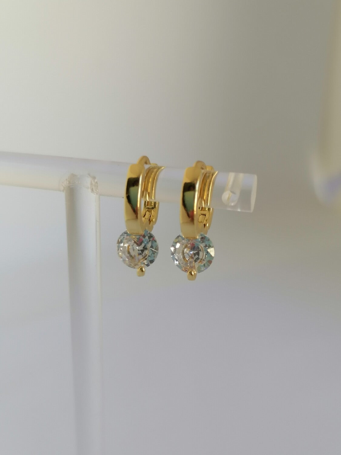 Eden Round Zircon | Earrings